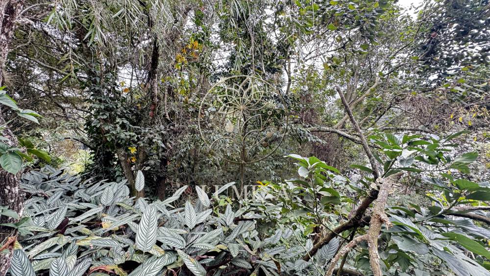 Terreno Loteamento Capital Ville Jundiaí 